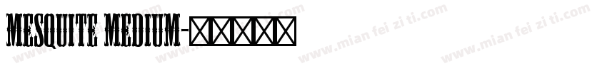 Mesquite Medium字体转换